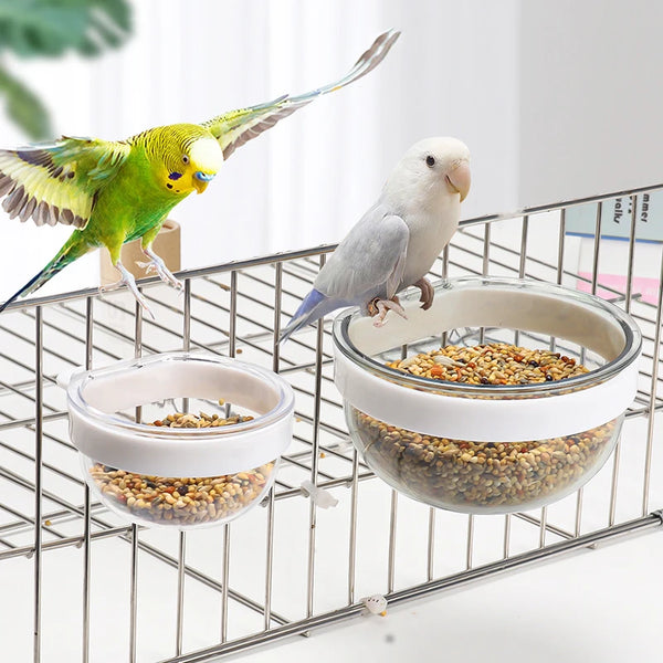 Transparent Hanging Bird Bowl