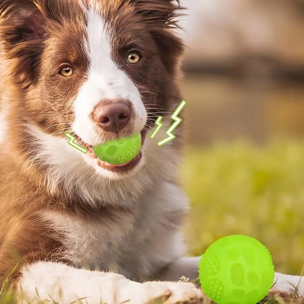 Glow Squeaky Dog Chew Ball