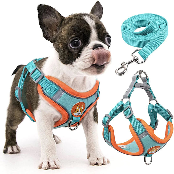 Reflective Step-In Dog Harness Set