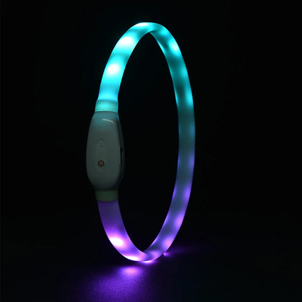 Rechargeable LED Dog Collar