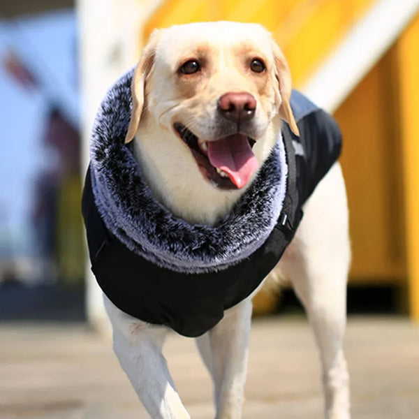 Fur Collar Dog Coat