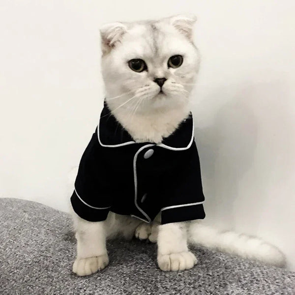 Christmas Sphynx Cat Hoodie Suit