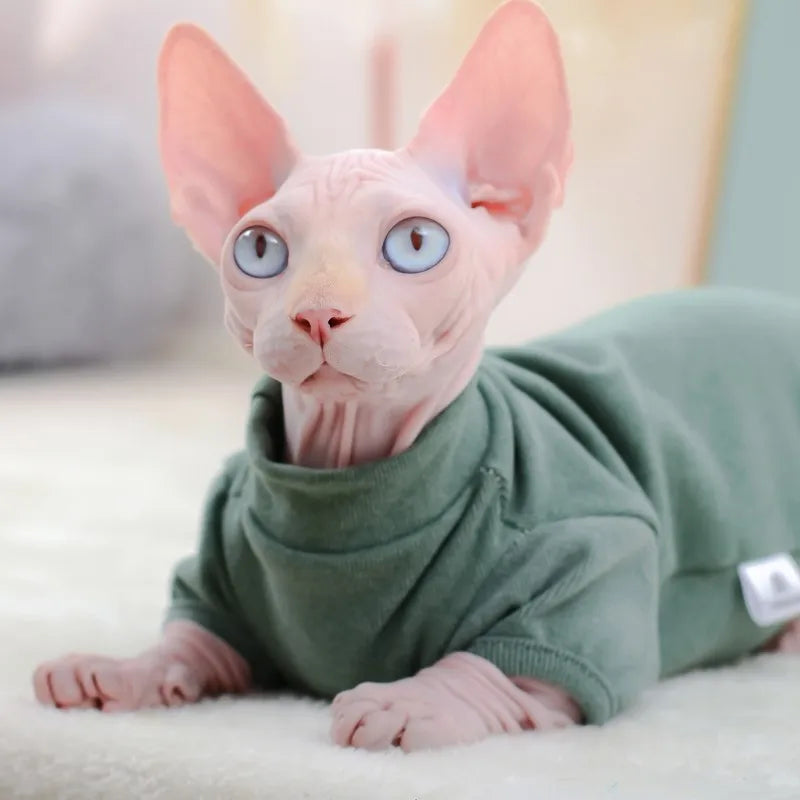 Warm Fleece Sphynx Cat Hoodie