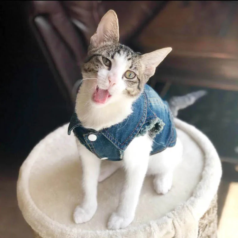 Casual Denim Cat Vest Jacket