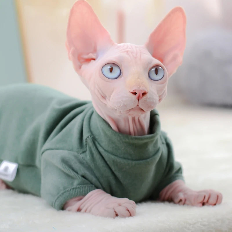 Warm Fleece Sphynx Cat Hoodie
