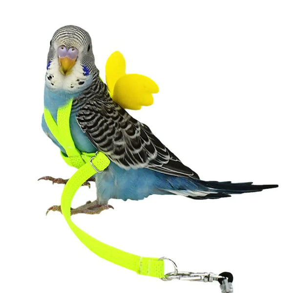 Adjustable Parrot Flight Harness