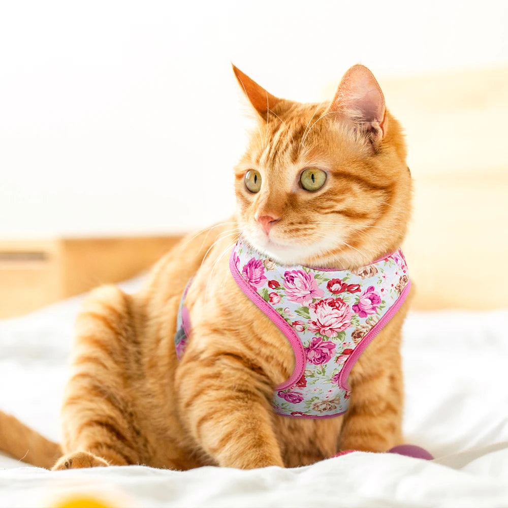 Floral Breathable Dog Harness Set