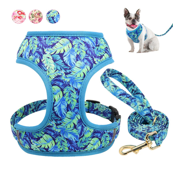 Floral Breathable Dog Harness Set
