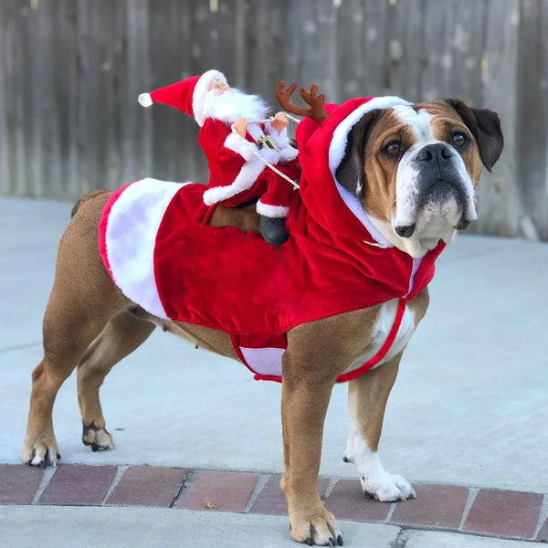 Funny Santa Christmas Pet Costume