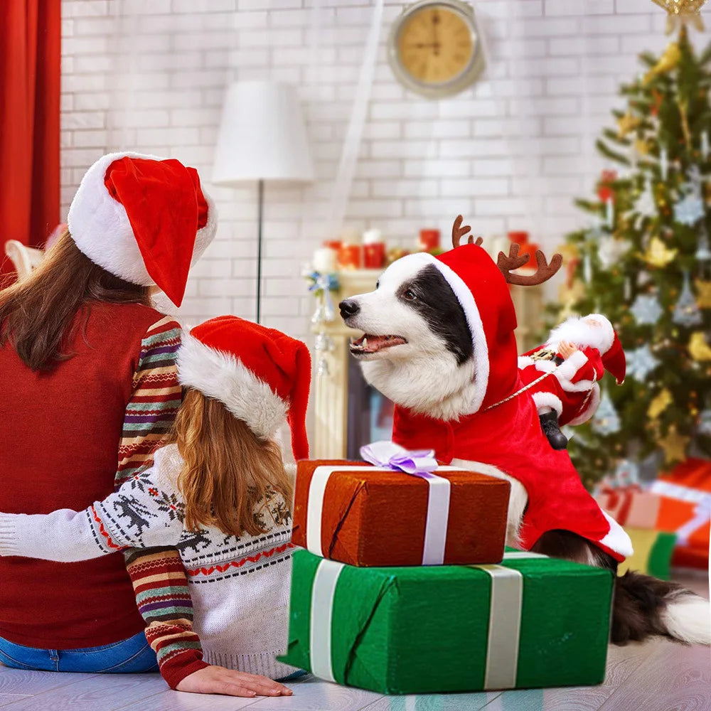 Funny Santa Christmas Pet Costume