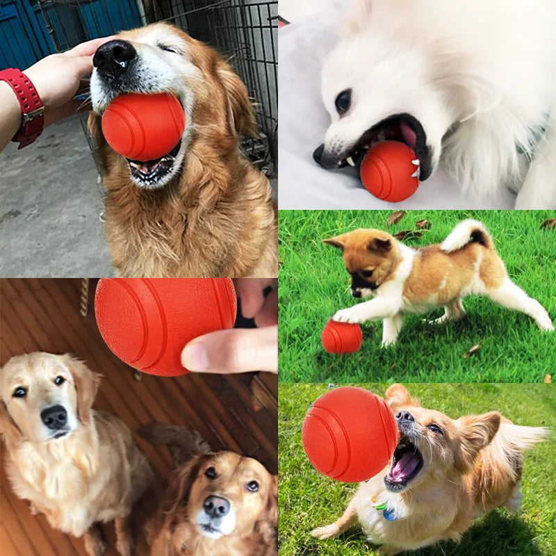 Bite Resistant Rubber Dog Ball