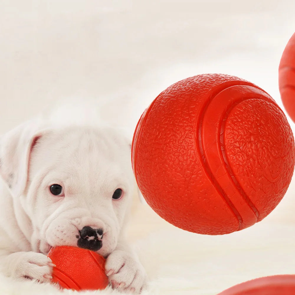 Bite Resistant Rubber Dog Ball