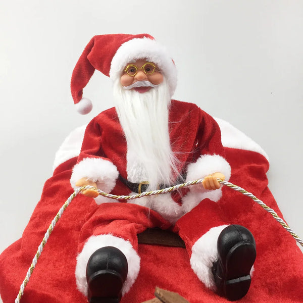 Funny Santa Christmas Pet Costume