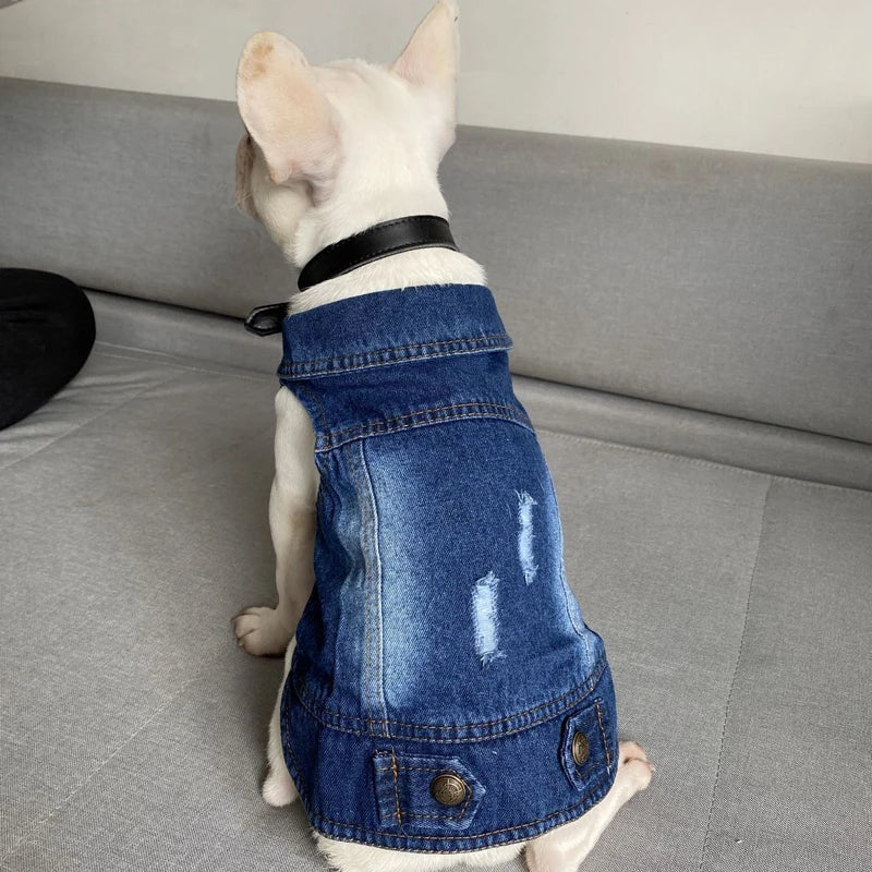 Casual Denim Cat Vest Jacket