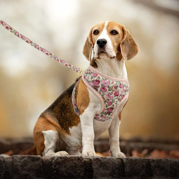 Floral Breathable Dog Harness Set