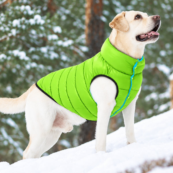 Reversible Three Layer Dog Vest