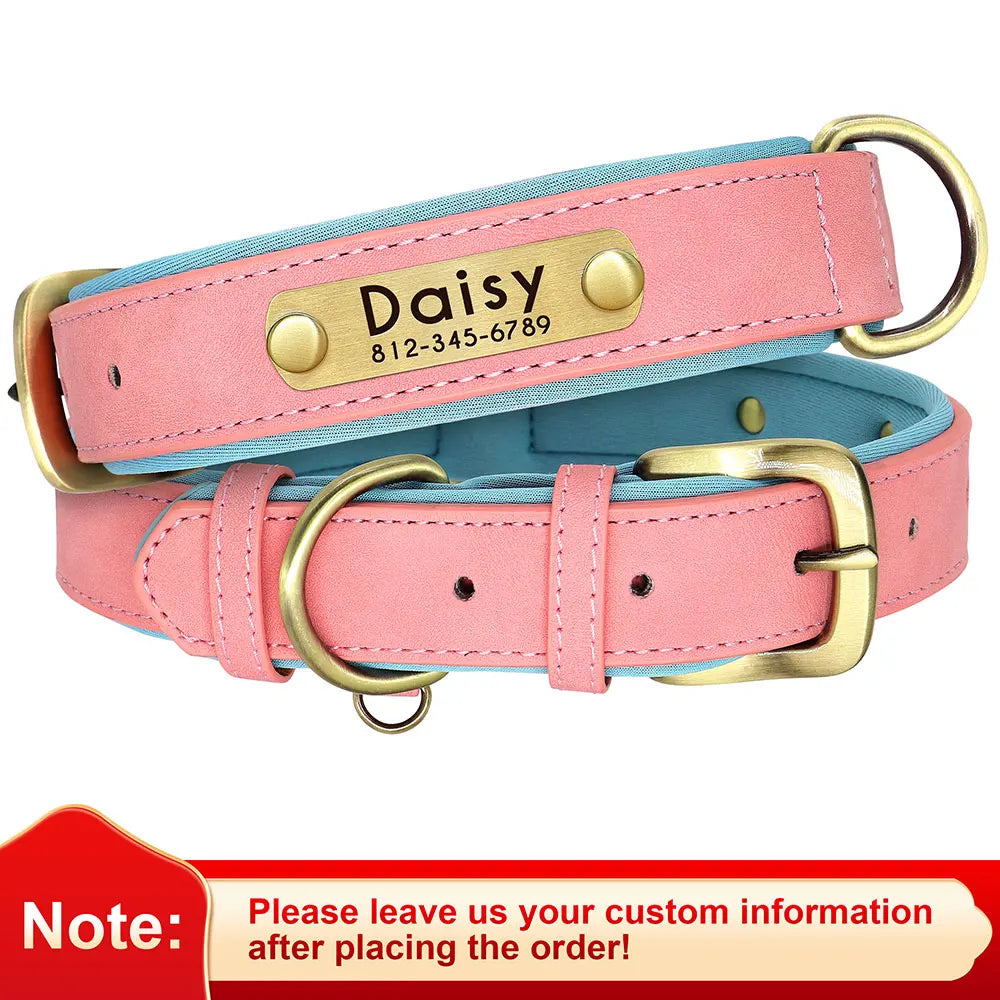 Engraved Padded Leather Collar