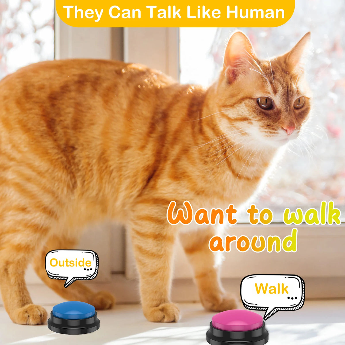 Recordable Light-Up Pet Training Buttons