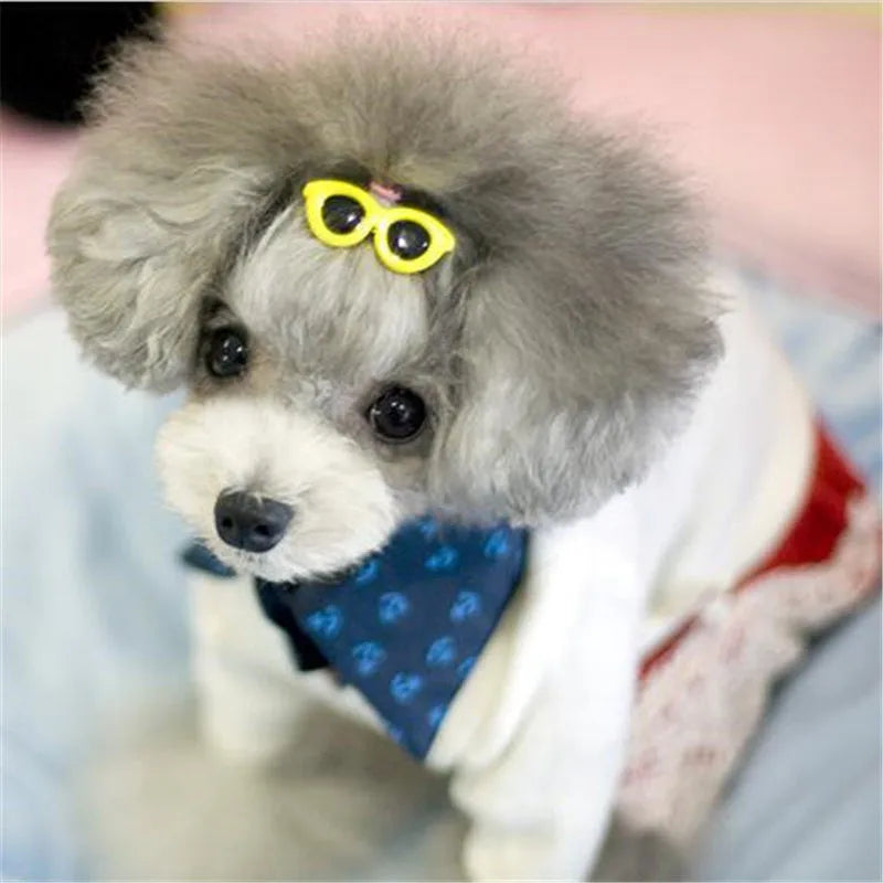 Heart Sunglasses Pet Hair Accessories
