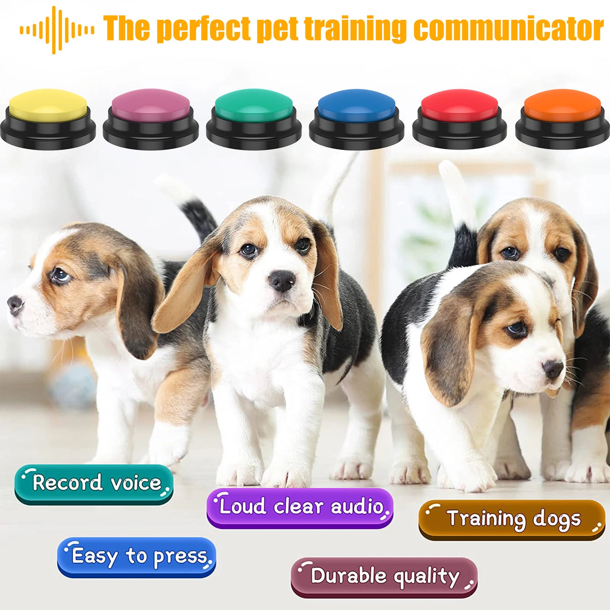 Recordable Light-Up Pet Training Buttons
