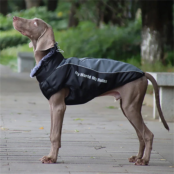 Fur Collar Dog Coat