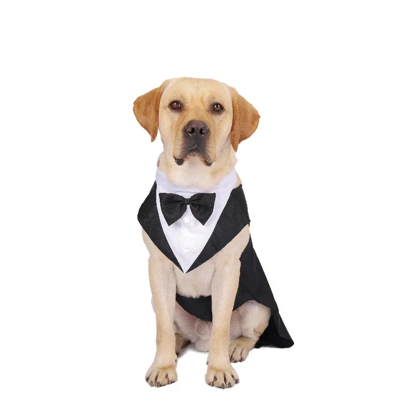 Formal Dog Tuxedo Outfit