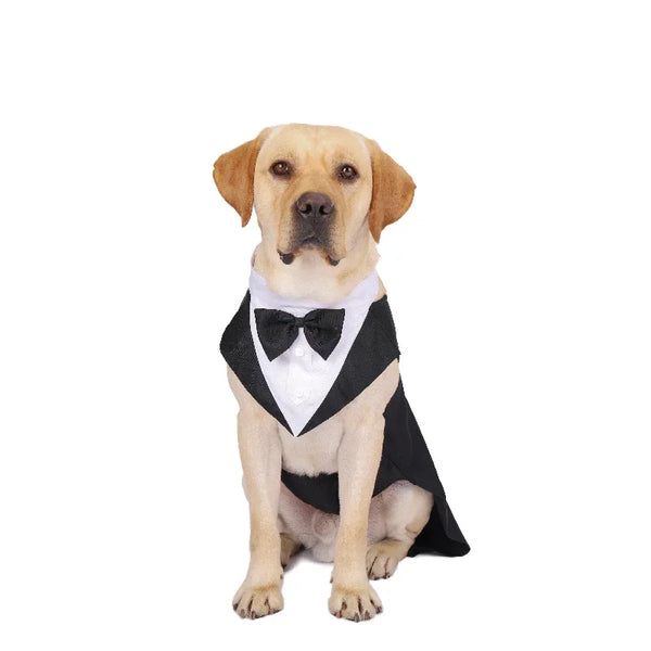 Formal Dog Tuxedo Outfit