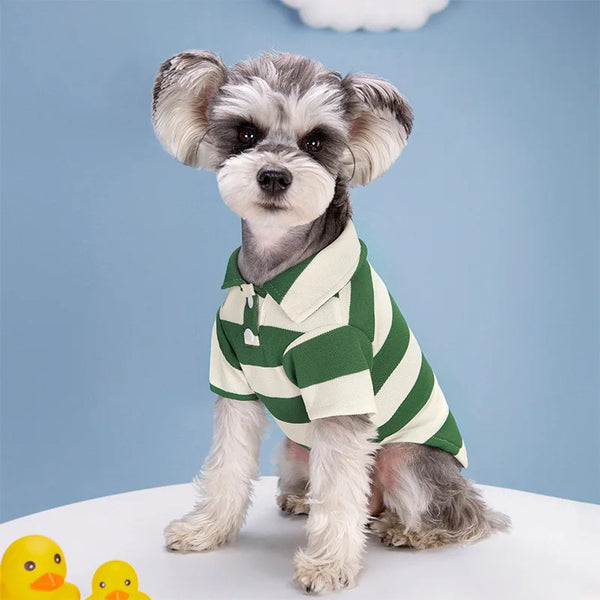 Casual Summer Dog Polo Shirt