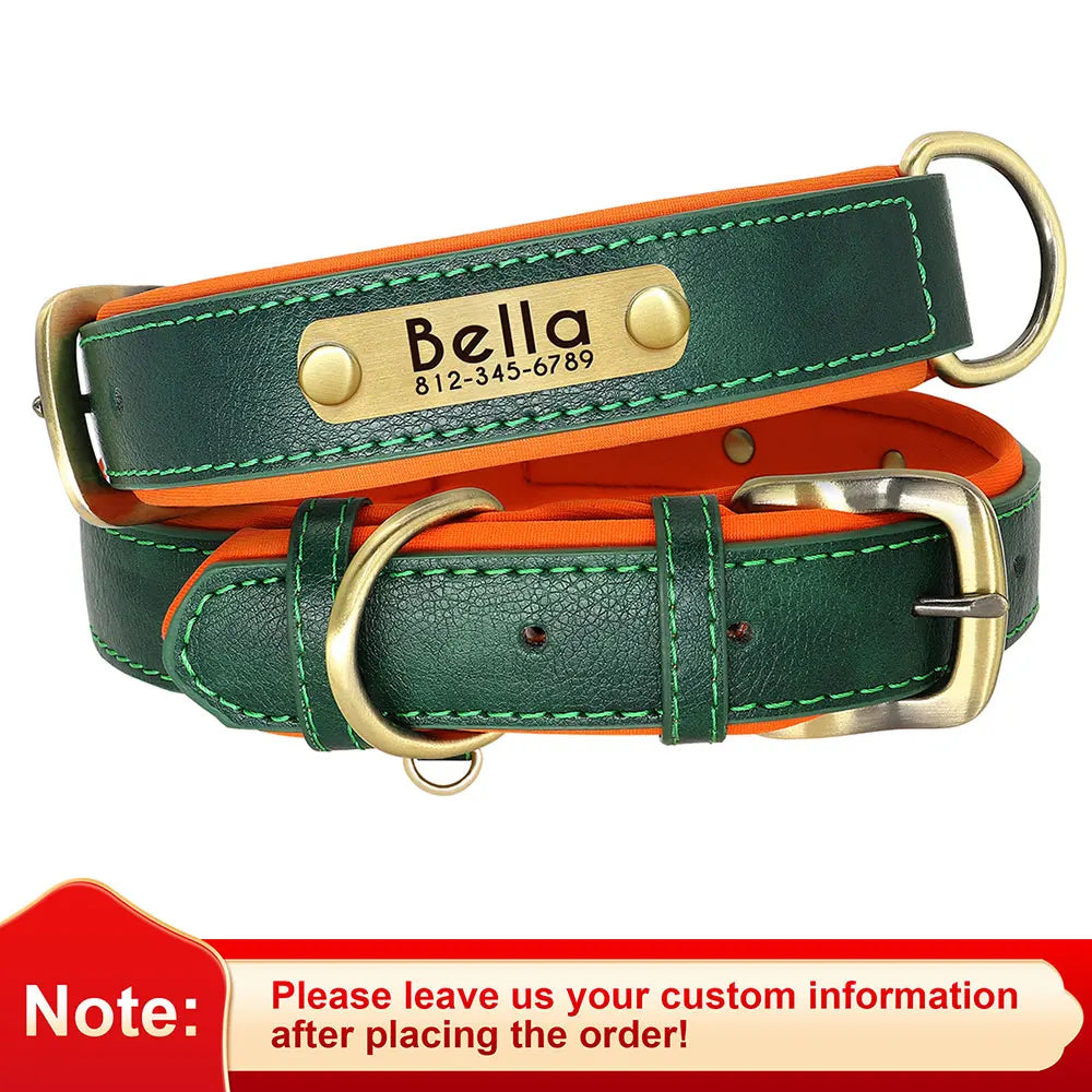Engraved Padded Leather Collar