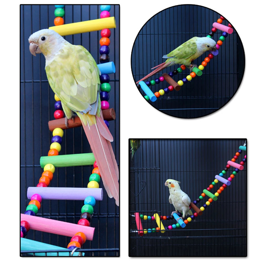 12-Step Bird Climbing Ladder