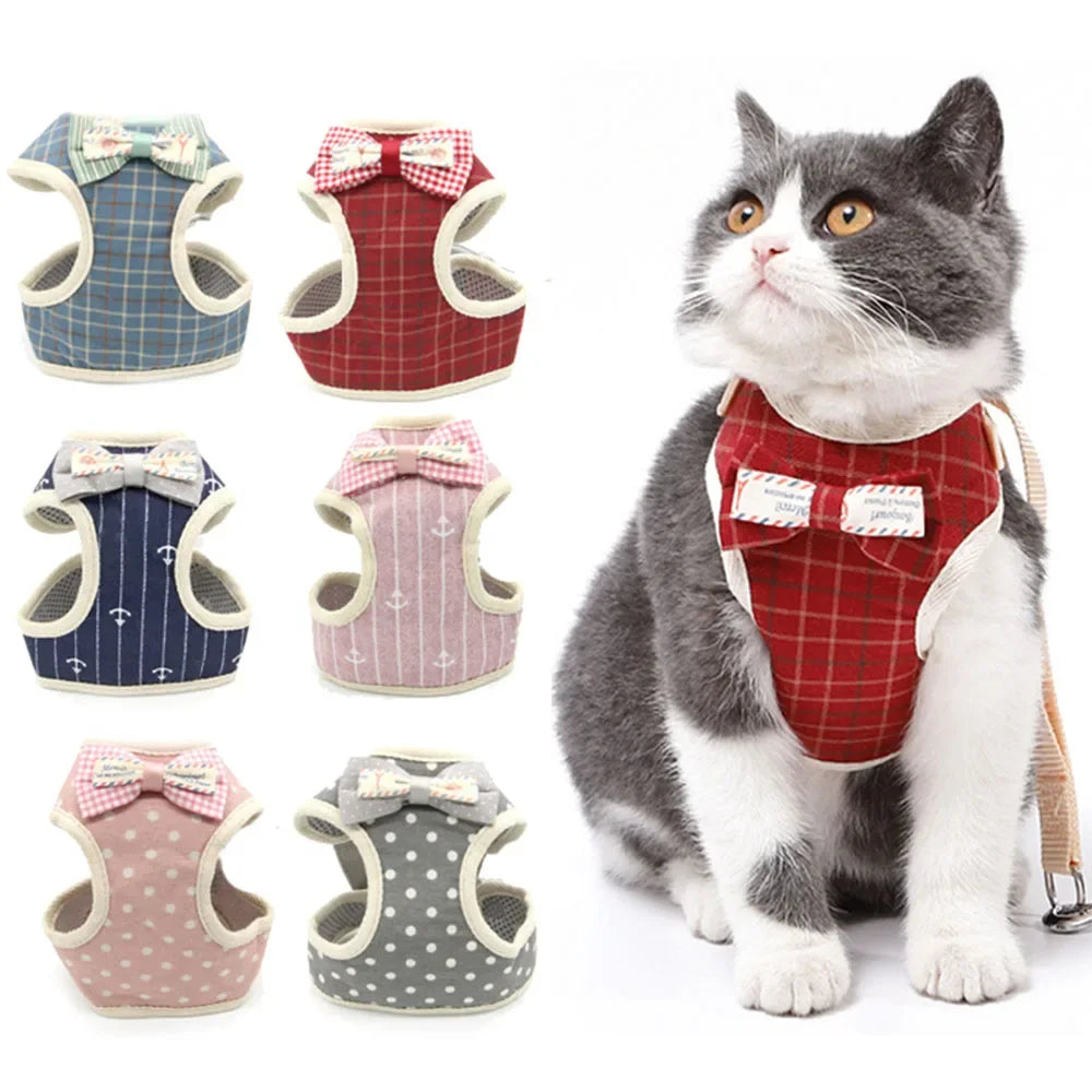 Padded Mesh Harness Set