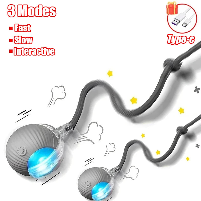 Rechargeable Rolling Tail Ball
