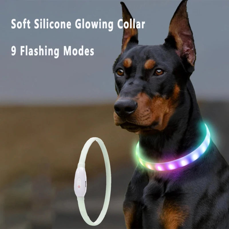 Rechargeable LED Dog Collar