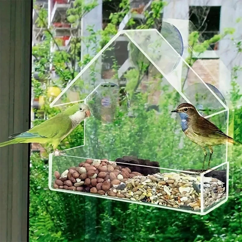 Acrylic Window Bird Feeder