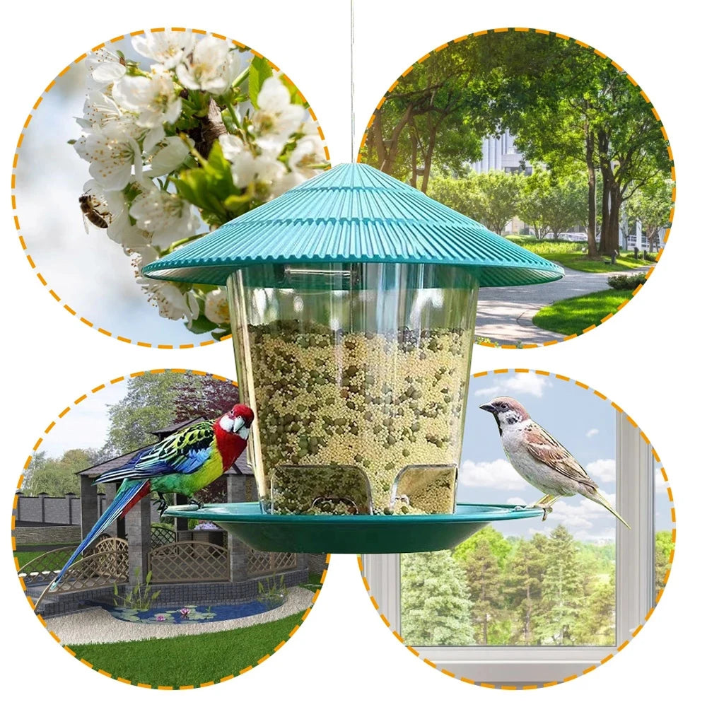 Hanging Outdoor Bird Feeder
