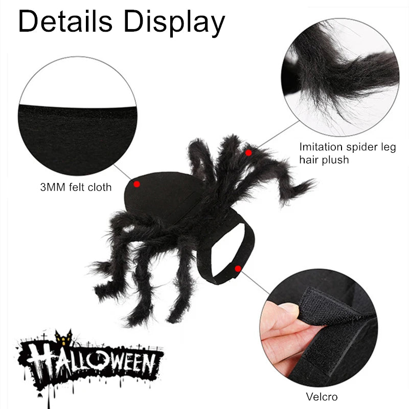 Spider Halloween Pet Cosplay Costume