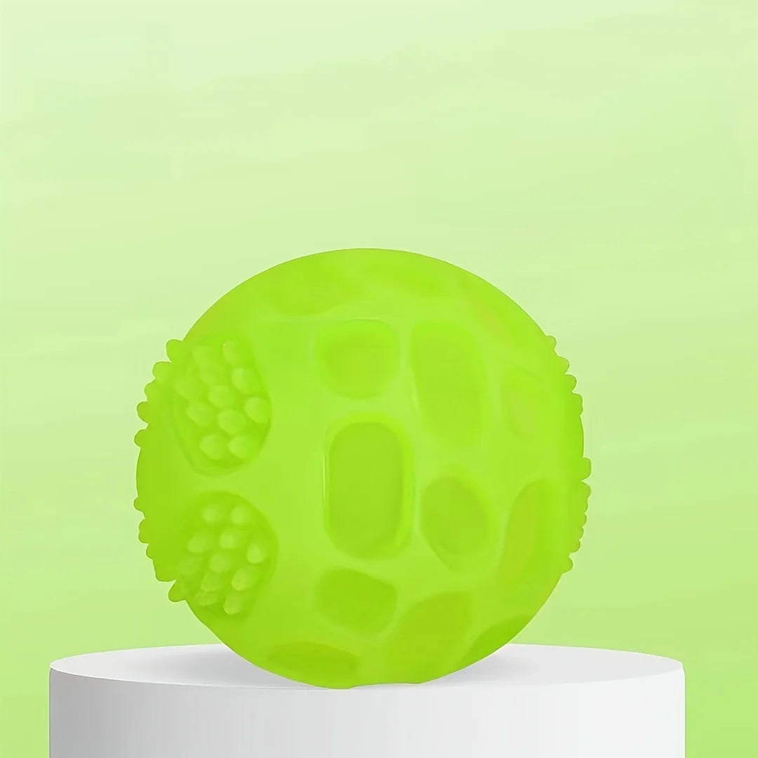 Glow Squeaky Dog Chew Ball