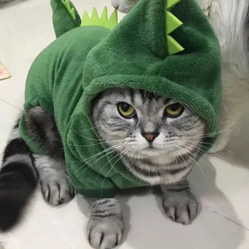Dinosaur Fleece Pet Hoodie Costume