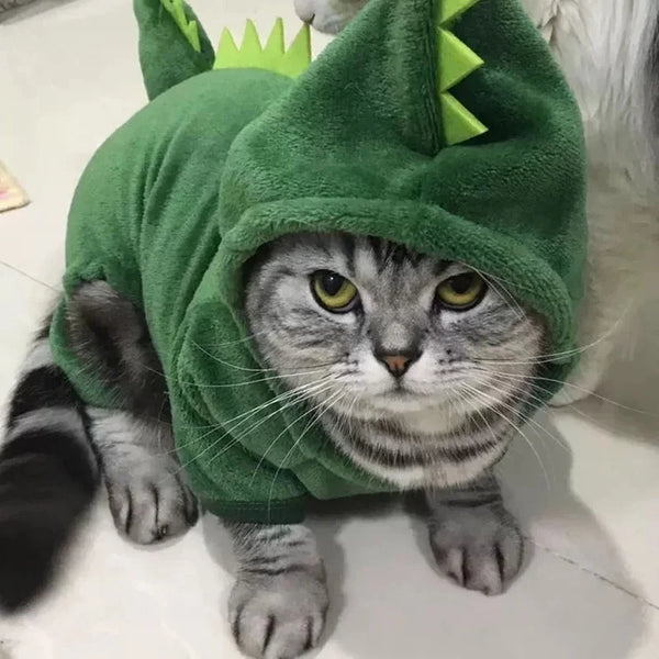Dinosaur Fleece Pet Hoodie Costume