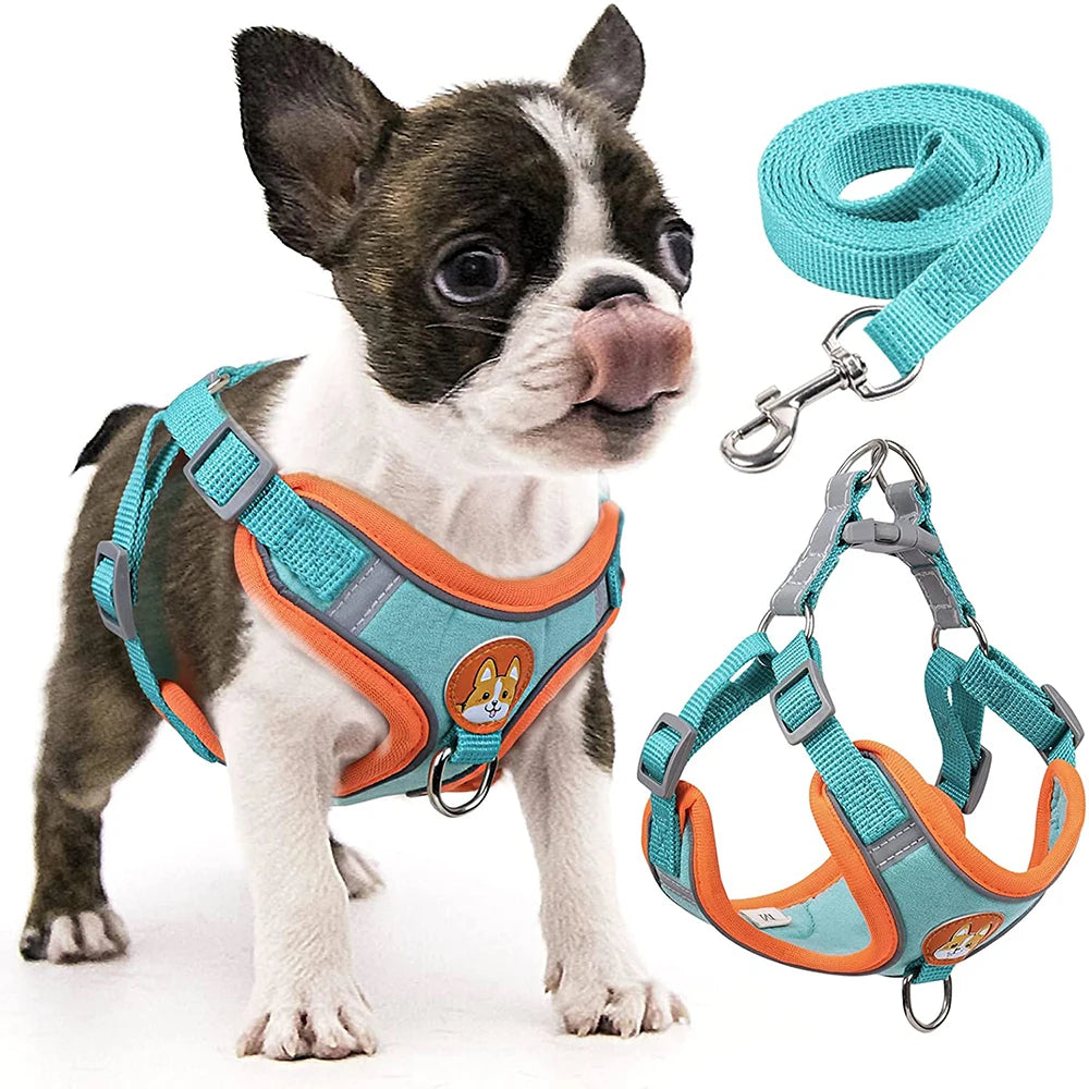 Reflective Step-In Dog Harness Set