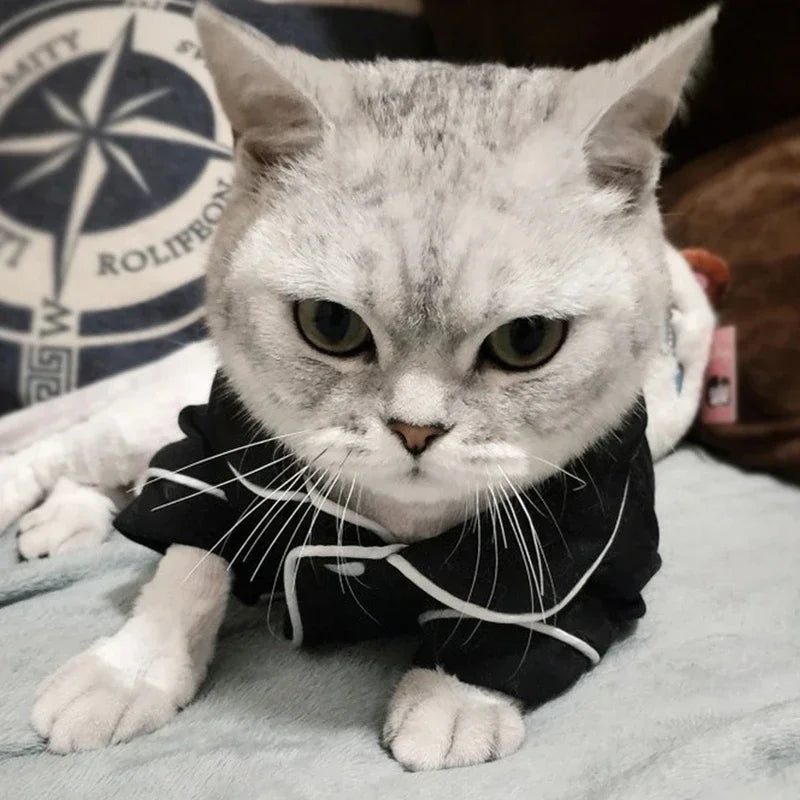 Christmas Sphynx Cat Hoodie Suit