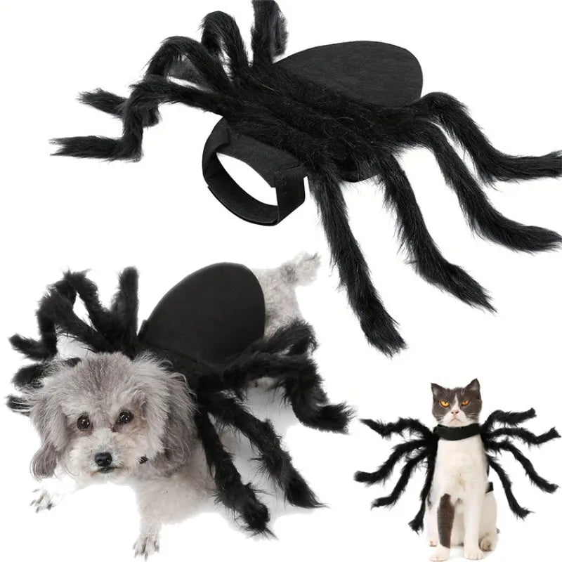 Spider Halloween Pet Cosplay Costume