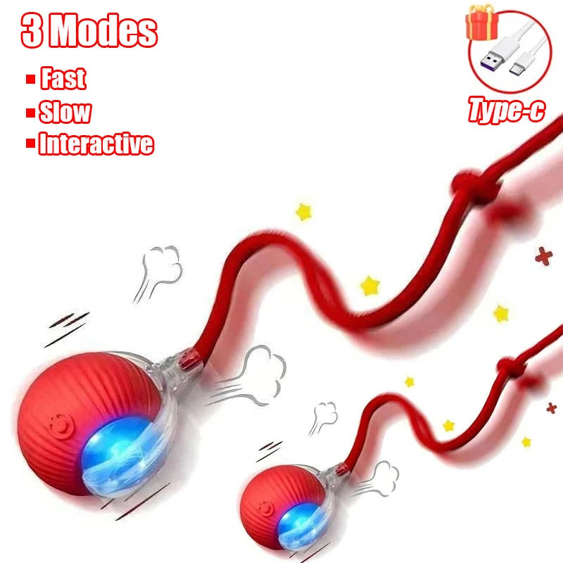 Rechargeable Rolling Tail Ball