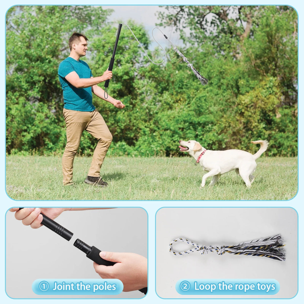 Heavy Duty Dog Flirt Pole