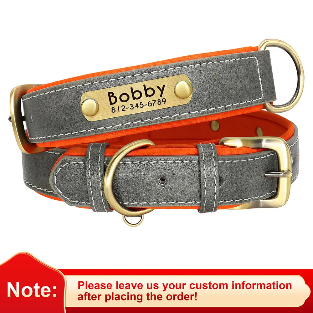 Engraved Padded Leather Collar