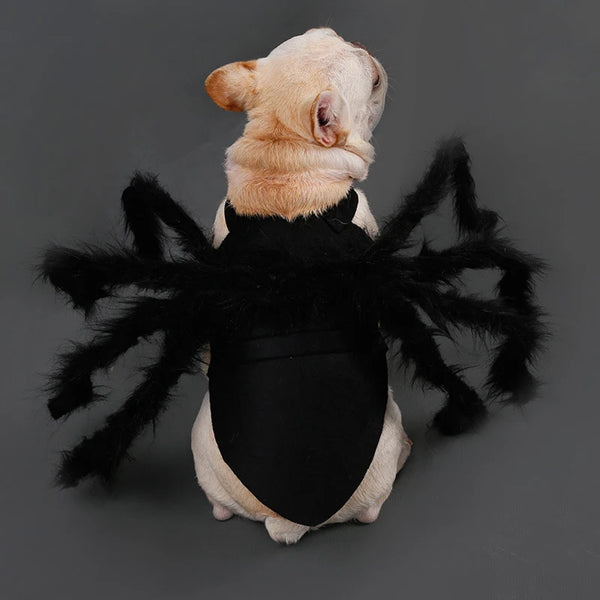Spider Halloween Pet Cosplay Costume