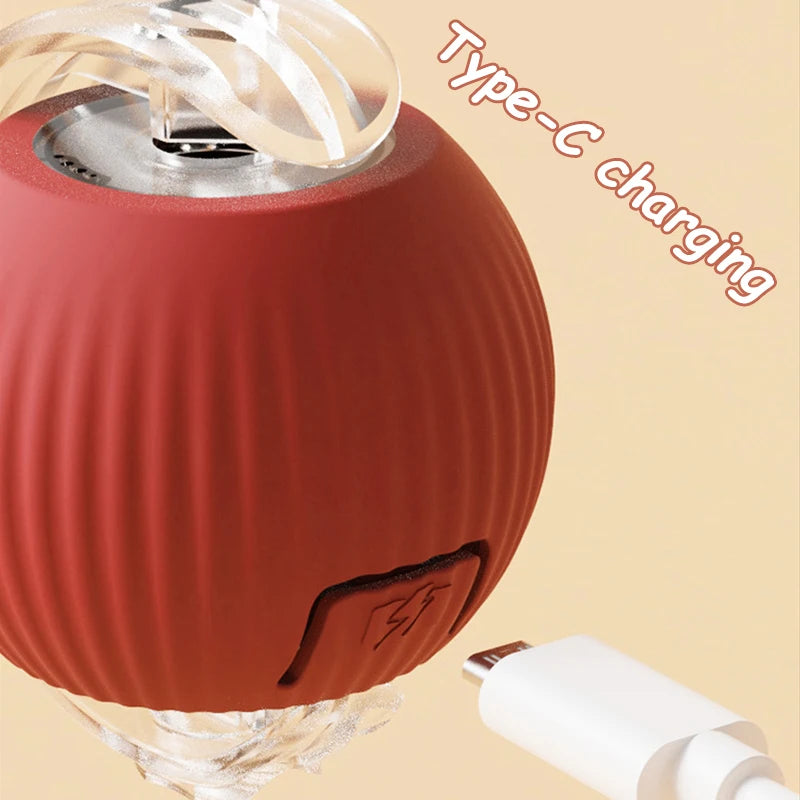 Rechargeable Rolling Tail Ball