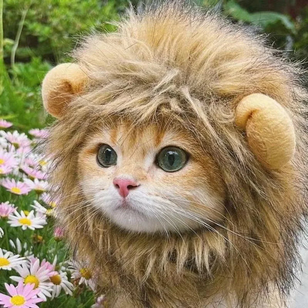 Lion Mane Pet Costume Hat