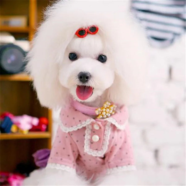 Heart Sunglasses Pet Hair Accessories