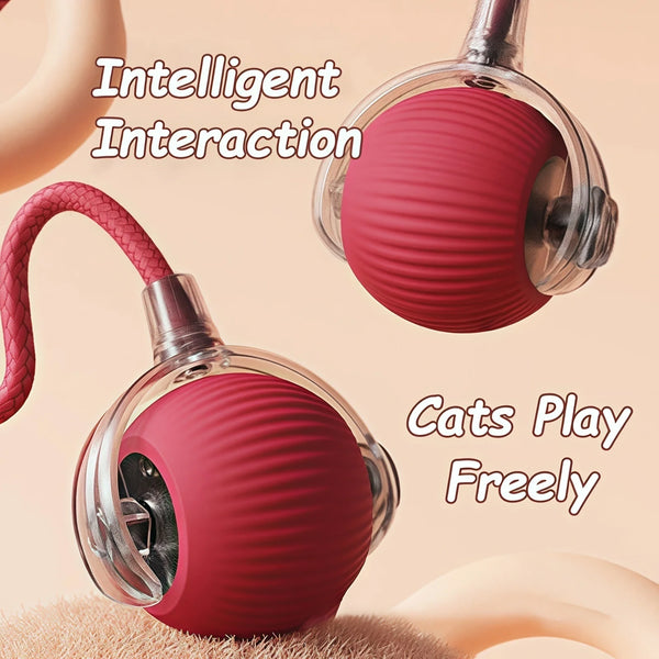 Rechargeable Rolling Tail Ball